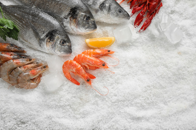 Photo of Fresh fish and seafood on ice, flat lay. Space for text