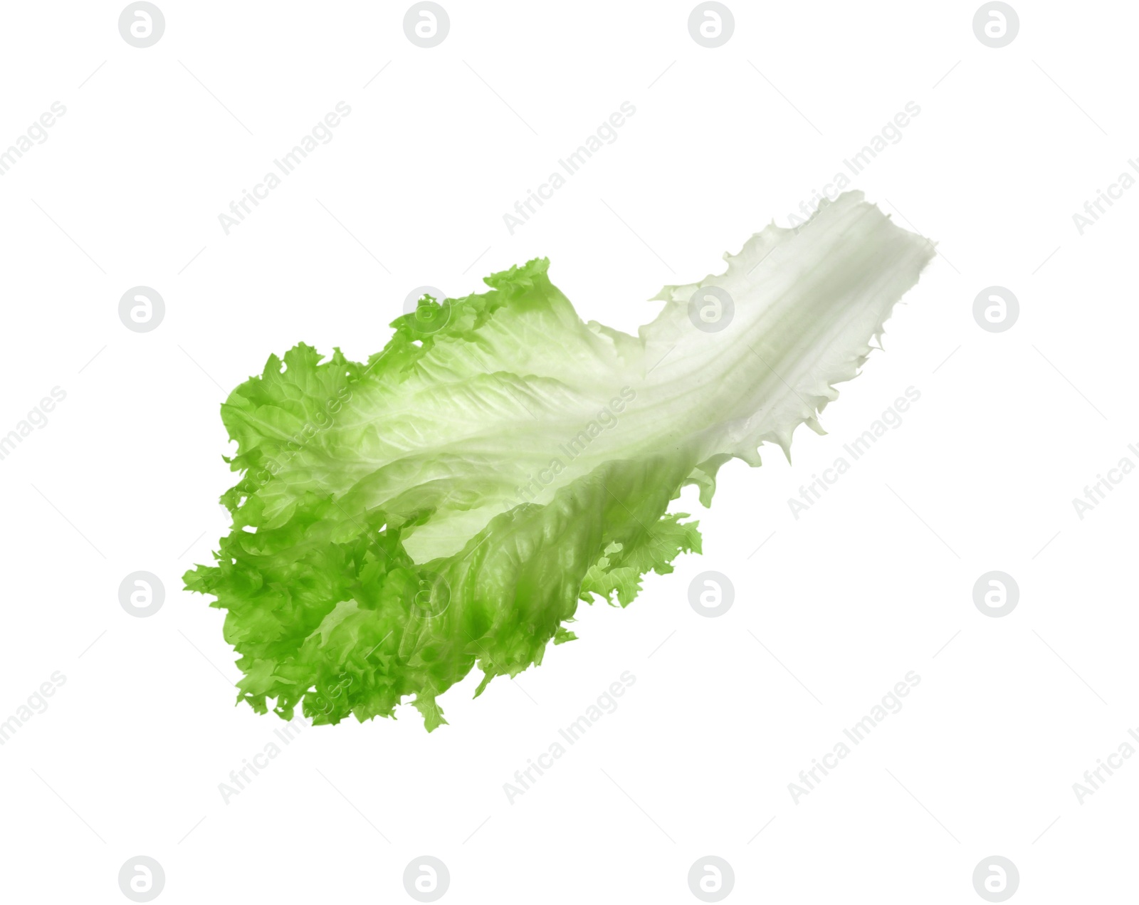 Photo of Fresh green lettuce leaf isolated on white