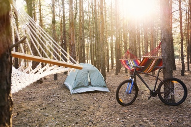 Photo of Empty hammocks, camping tent and bicycle in forest on summer day