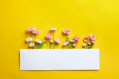 Flat lay composition with spring daisy flowers and card on color background. Space for text