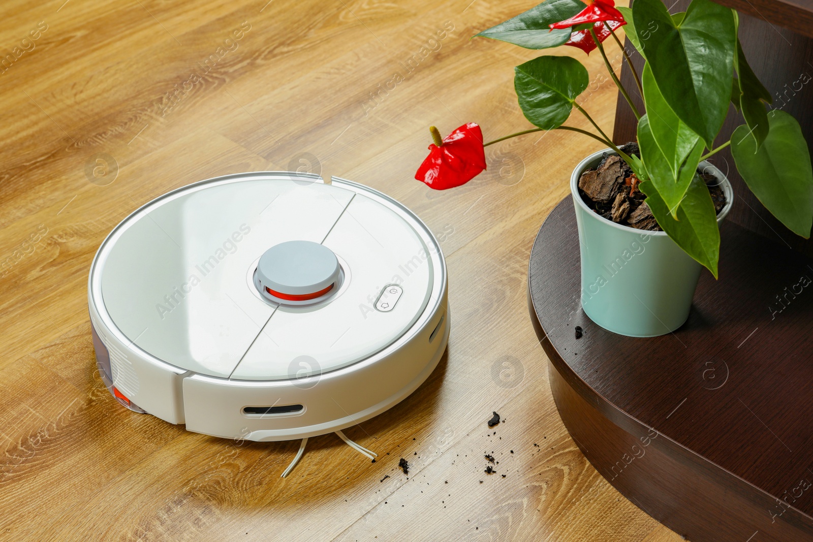 Photo of Robotic vacuum cleaner soil from wooden floor indoors