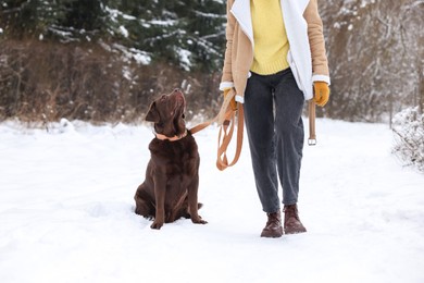 Photo of Woman with adorable Labrador Retriever dog in snowy park, closeup