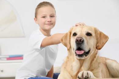 Photo of Cute child with her Labrador Retriever at home, focus on pet