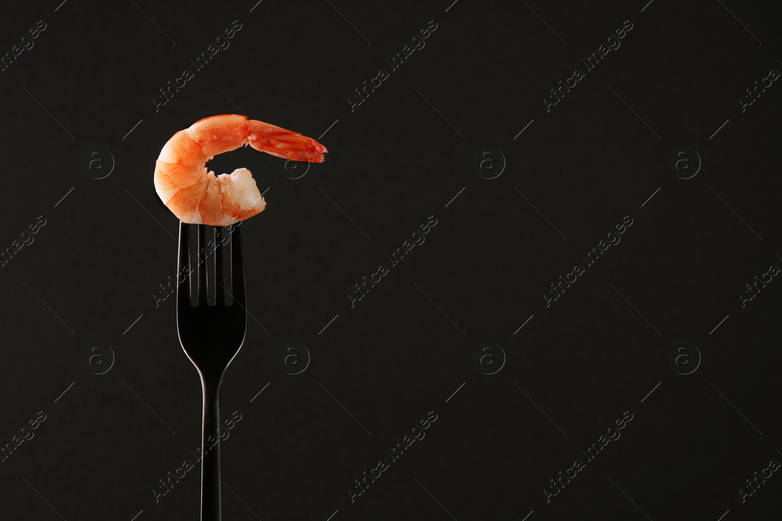 Photo of Fork with one shrimp on black background. Space for text
