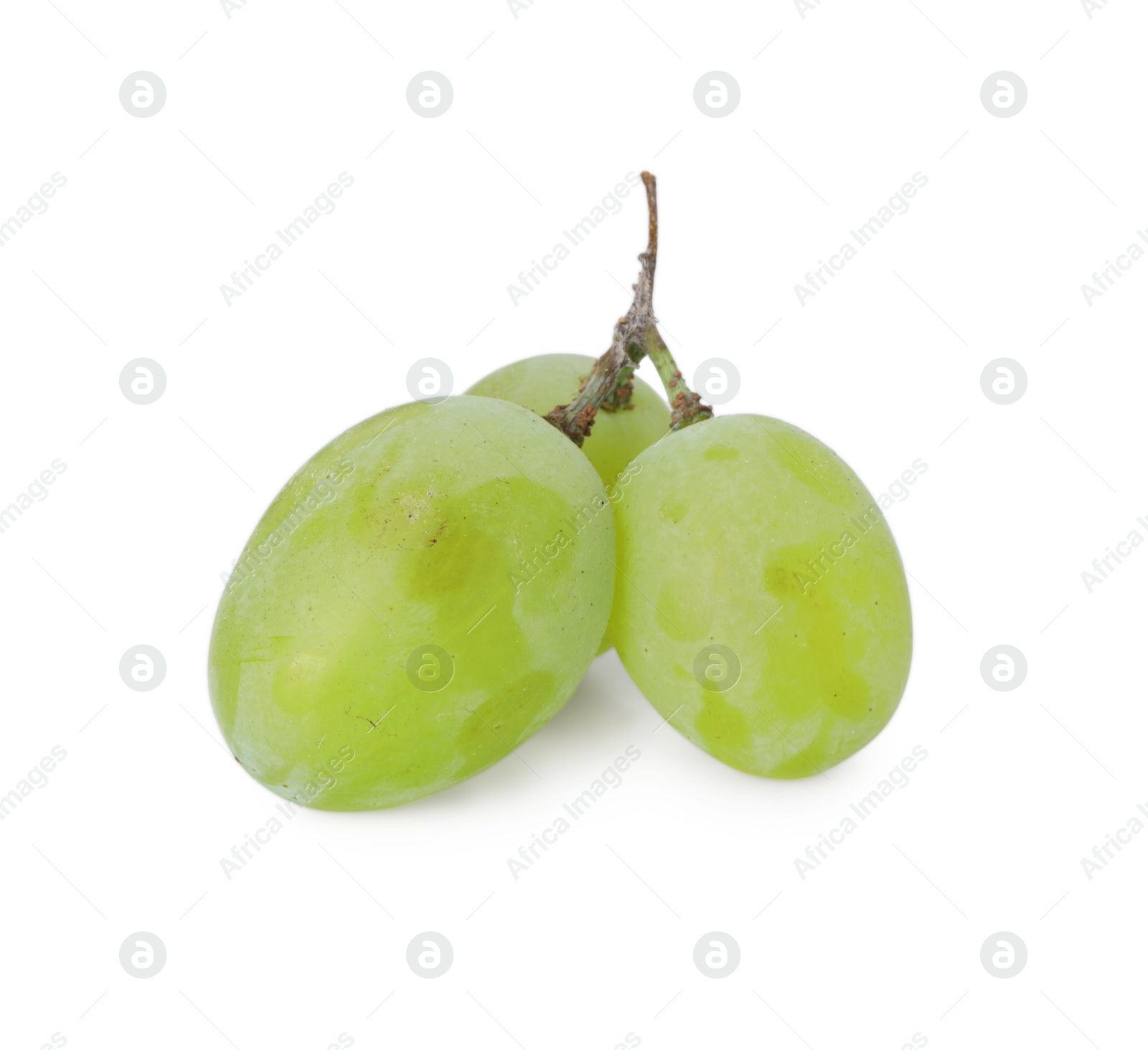 Photo of Delicious ripe green grapes isolated on white