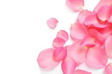 Photo of Fresh pink rose petals on white background, top view