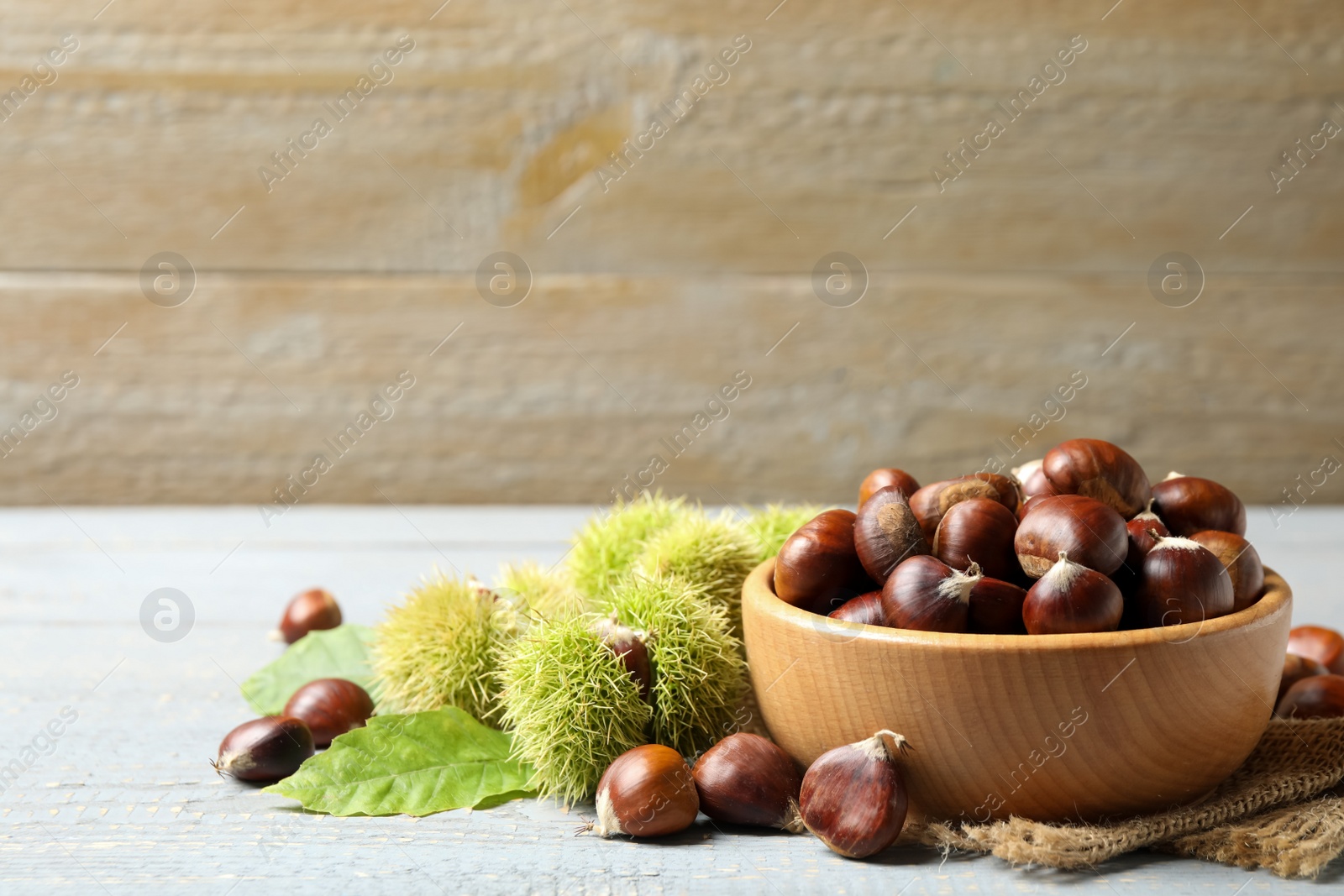 Photo of Fresh sweet edible chestnuts on grey wooden table. Space for text