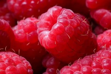 Many fresh ripe raspberries as background, closeup