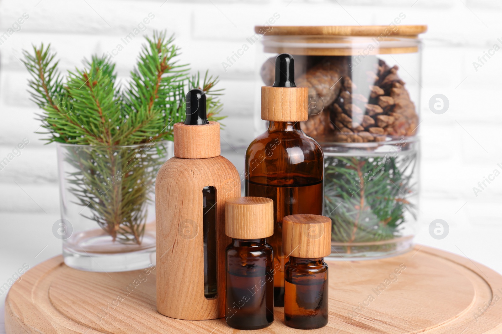 Bottles of essential oil, pine branches and cones on wooden board Photo of Bottles of essential oil, pine branches and cones on wooden board