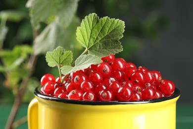 Ripe red currants and leaves in mug on blurred background, closeup