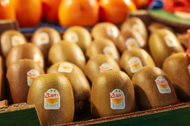 Photo of Kiwis and other fresh fruits on counter at market, closeup