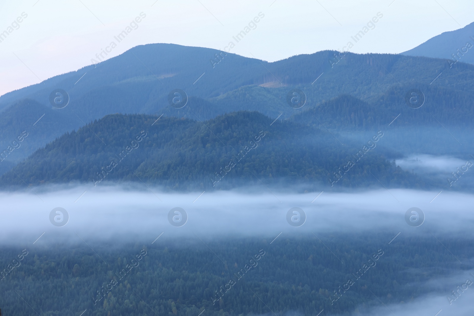Photo of Beautiful view of foggy mountains covered with forest
