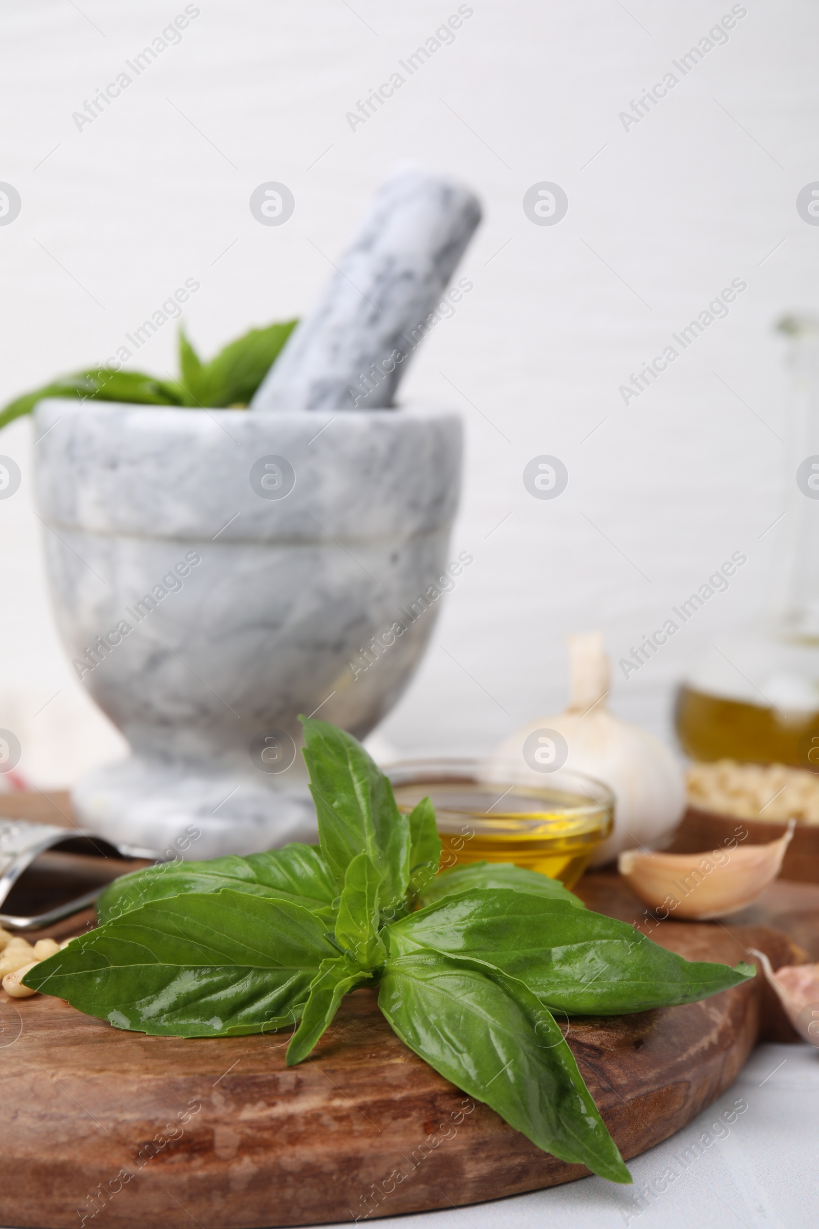 Photo of Different ingredients for cooking tasty pesto sauce on white table