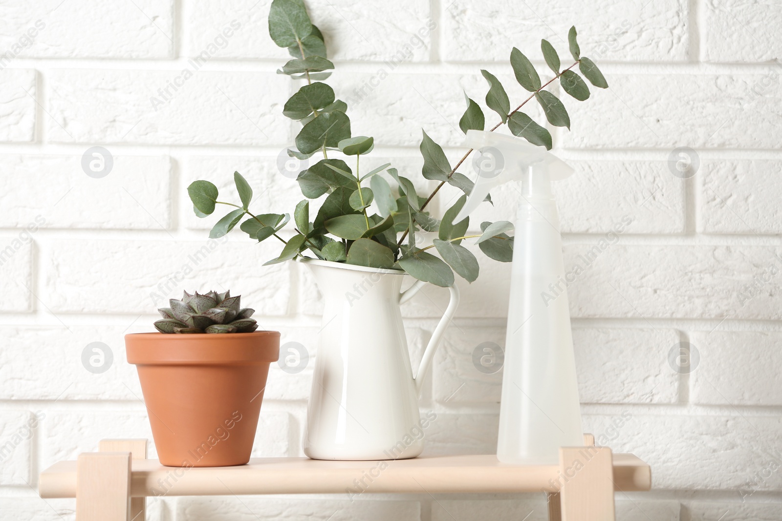 Photo of Beautiful plants and spray bottle on wooden shelf near brick wall at home