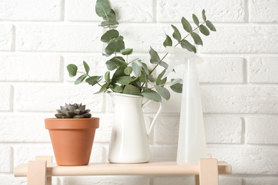 Beautiful plants and spray bottle on wooden shelf near brick wall at home