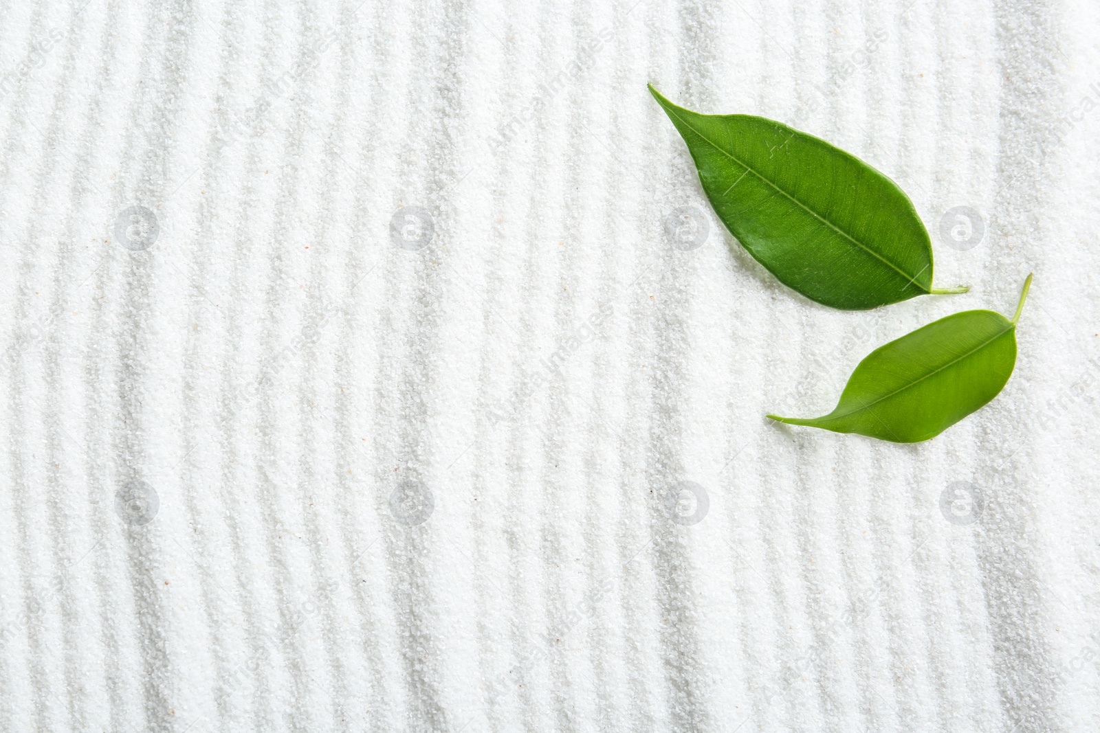 Photo of Zen rock garden. Wave pattern on white sand and green leaves, top view