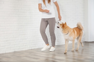 Photo of Woman with adorable Akita Inu dog indoors, space for text. Champion training