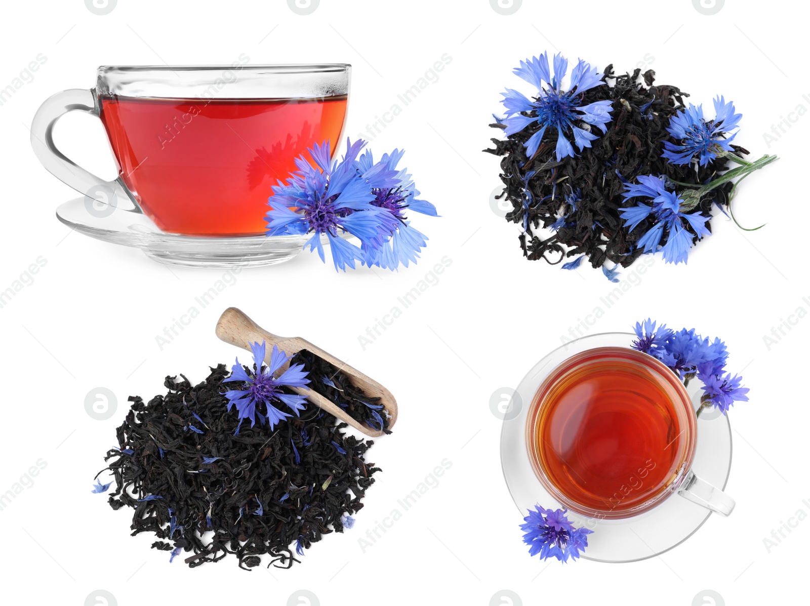 Image of Set with cornflower tea on white background 