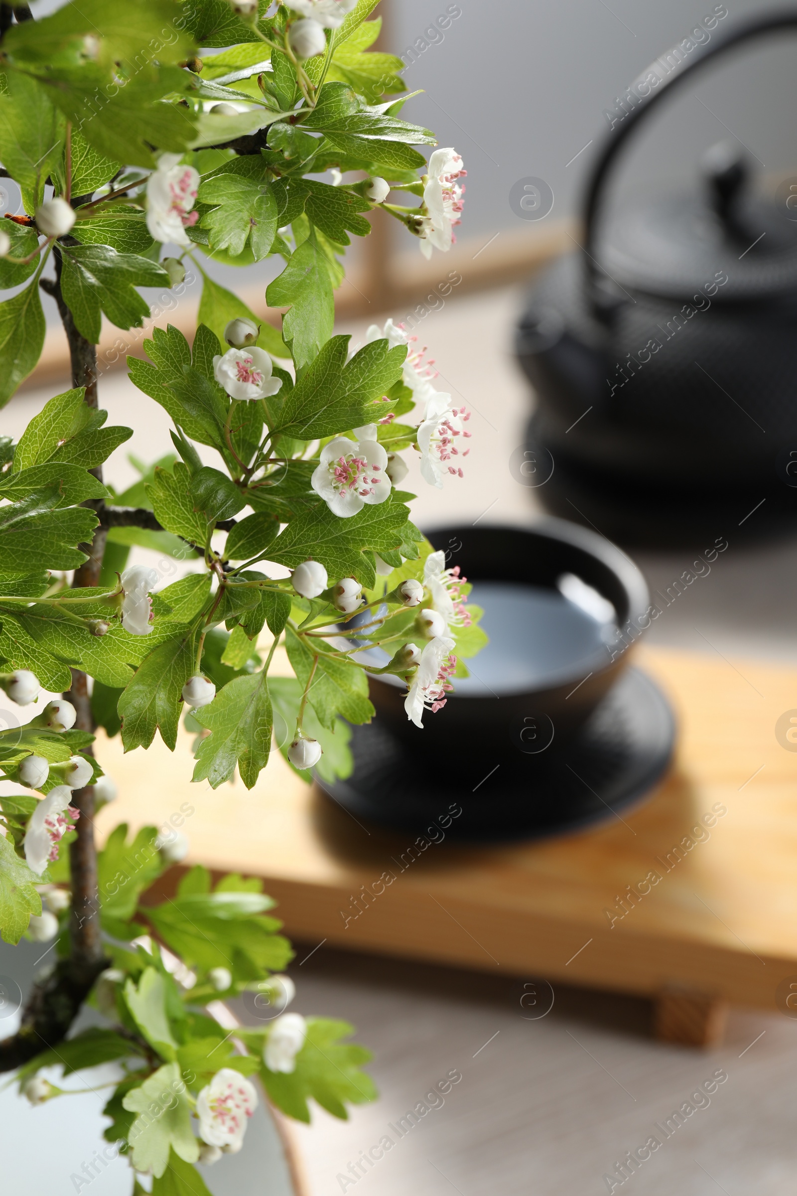 Photo of Stylish ikebana as house decor. Beautiful fresh branch with flowers on blurred background, closeup and space for text