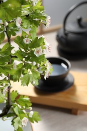 Stylish ikebana as house decor. Beautiful fresh branch with flowers on blurred background, closeup and space for text