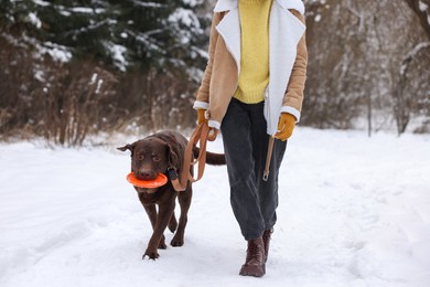 Photo of Woman and her dog playing with flying disk in snowy park, closeup