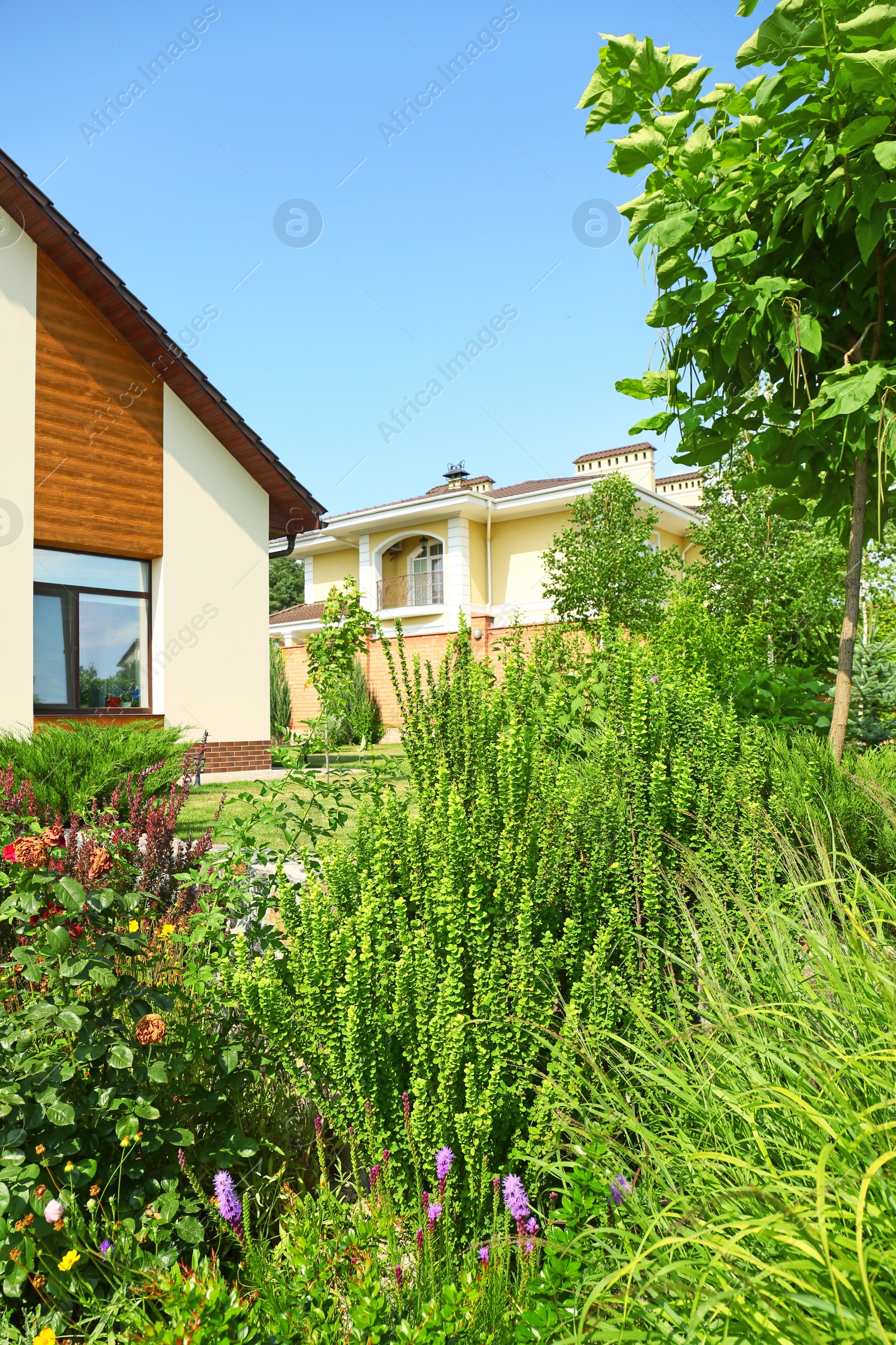 Photo of Beautiful green garden near modern house on sunny day