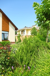 Photo of Beautiful green garden near modern house on sunny day