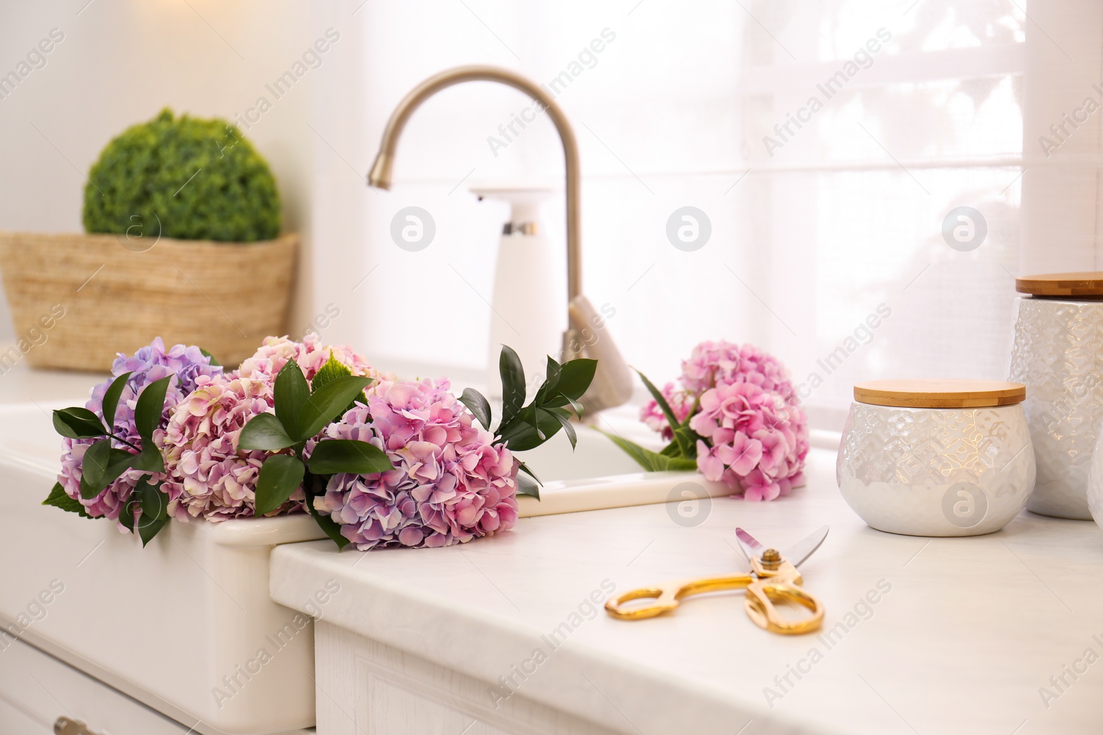 Photo of Bouquet with beautiful hydrangea flowers in sink