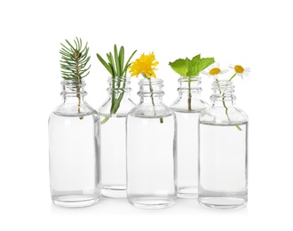 Photo of Glass bottles of different essential oils with plants on white background