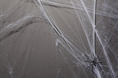 Photo of Cobweb and spider on gray background, top view