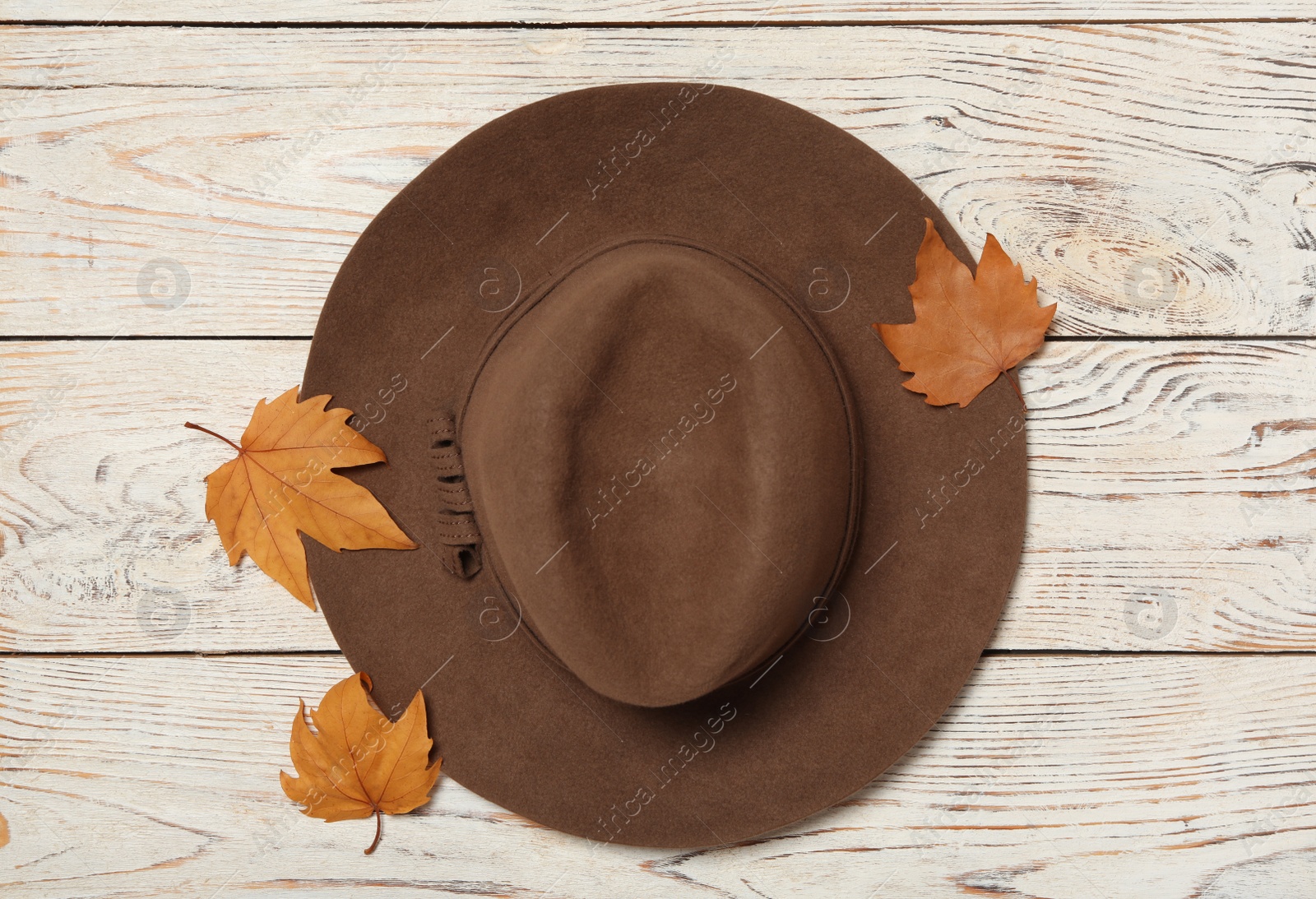 Photo of Hat and dry leaves on white wooden background, flat lay. Autumn season
