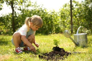 Cute little girl planting tree in garden