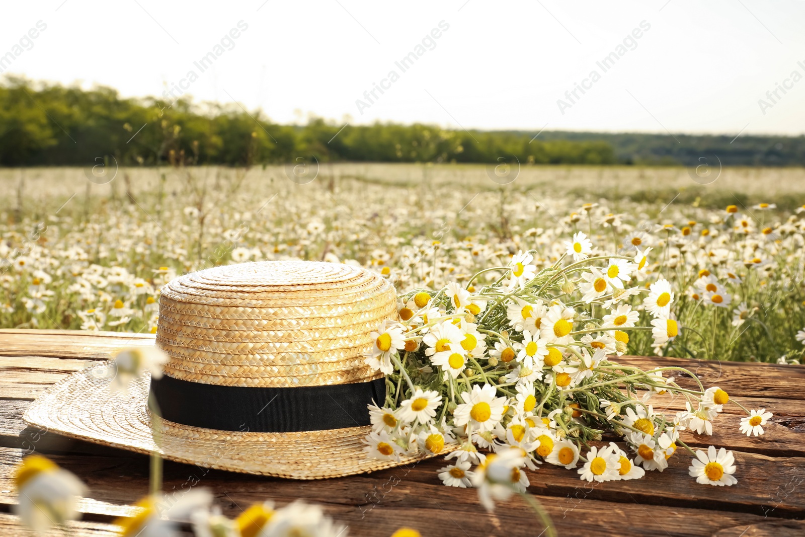 Photo of Chamomiles and straw hat on wooden table in field