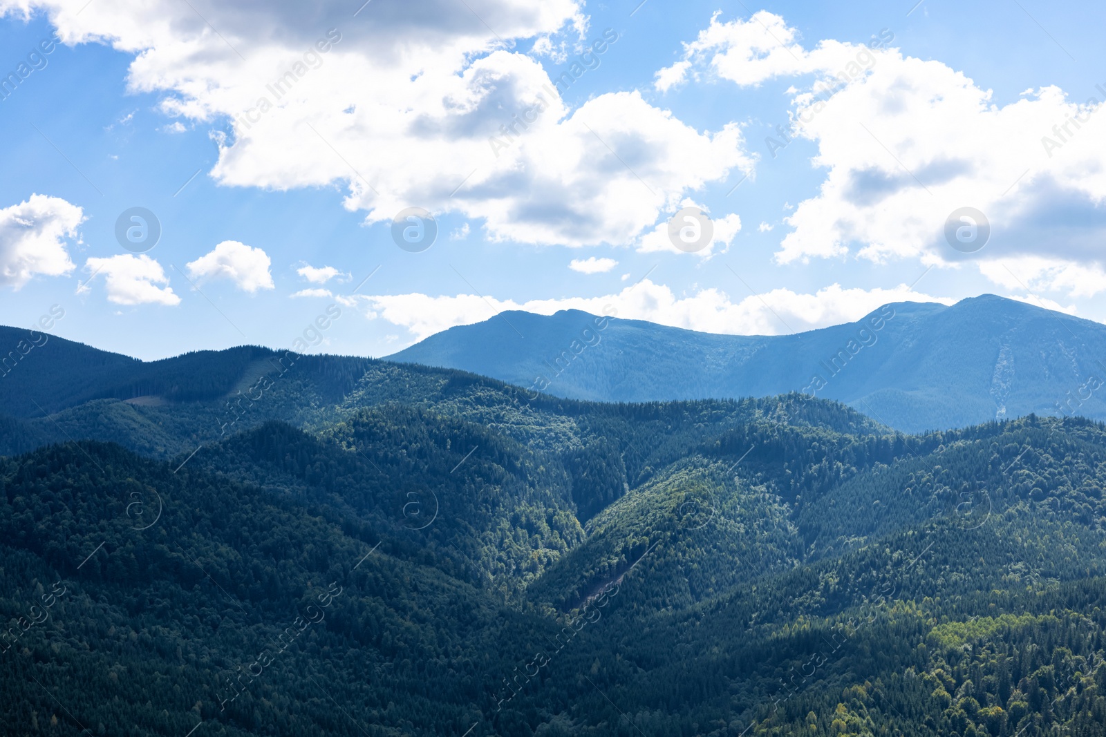 Image of Beautiful mountain landscape with forest on sunny day. Drone photography