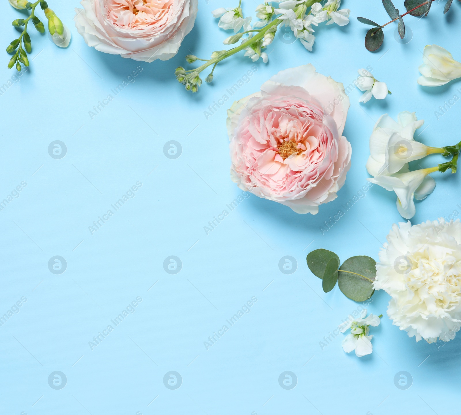 Photo of Flat lay composition with different beautiful flowers on light blue background. Space for text