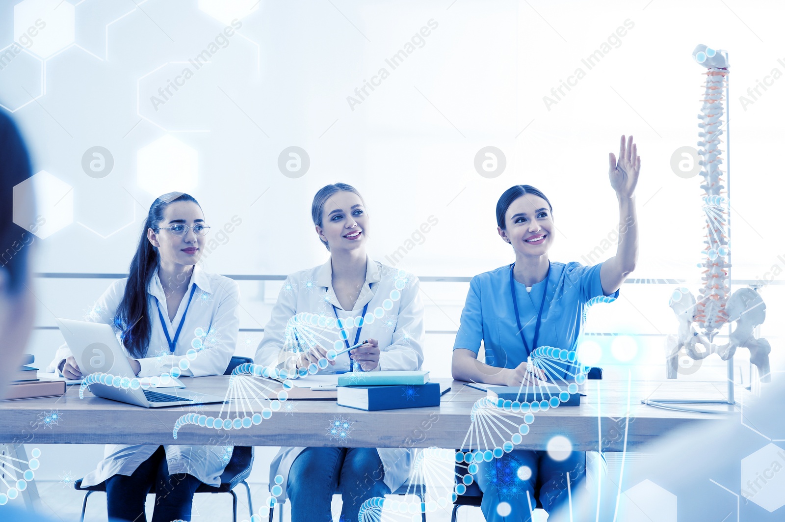 Image of Medical students studying human spine structure in classroom