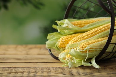 Photo of Ripe raw corn cobs in metal basket on wooden table against blurred background, closeup