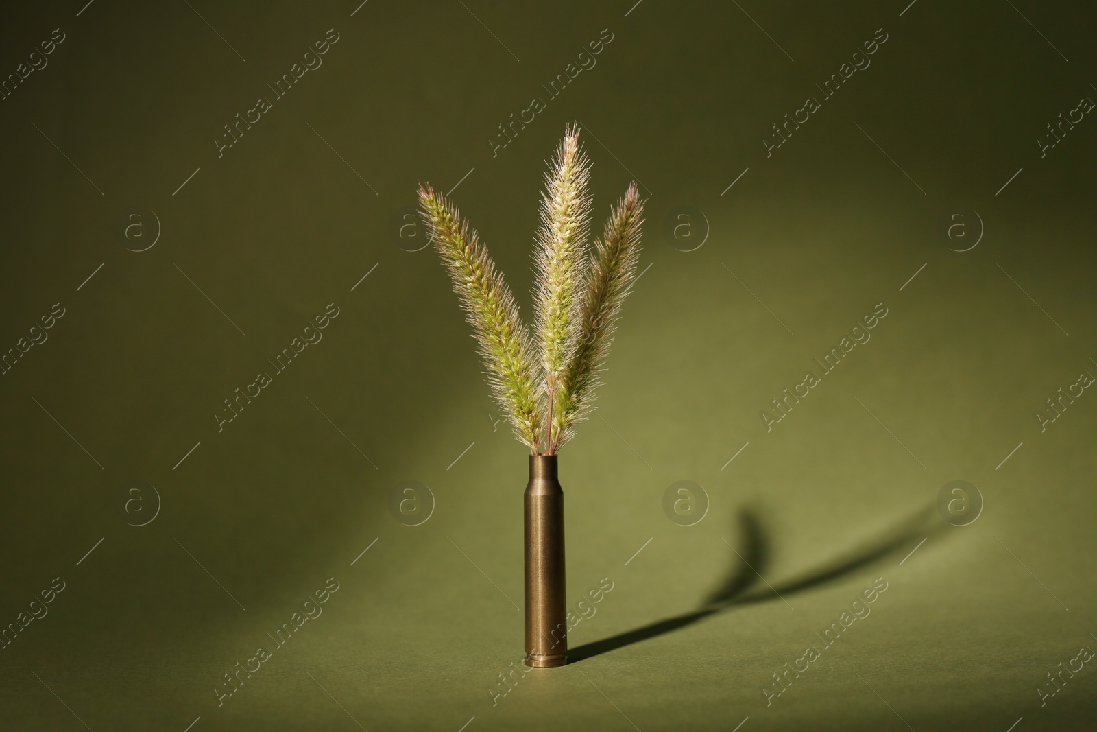 Photo of Bullet cartridge case and green foxtails on color background