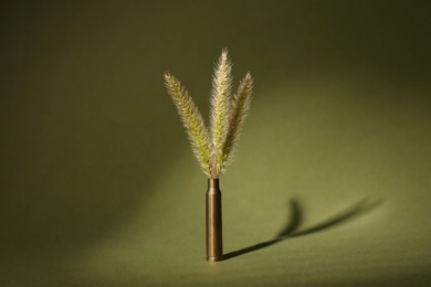 Bullet cartridge case and green foxtails on color background