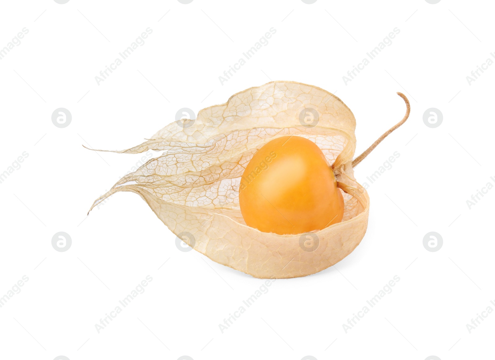 Photo of Ripe physalis fruit with calyx isolated on white