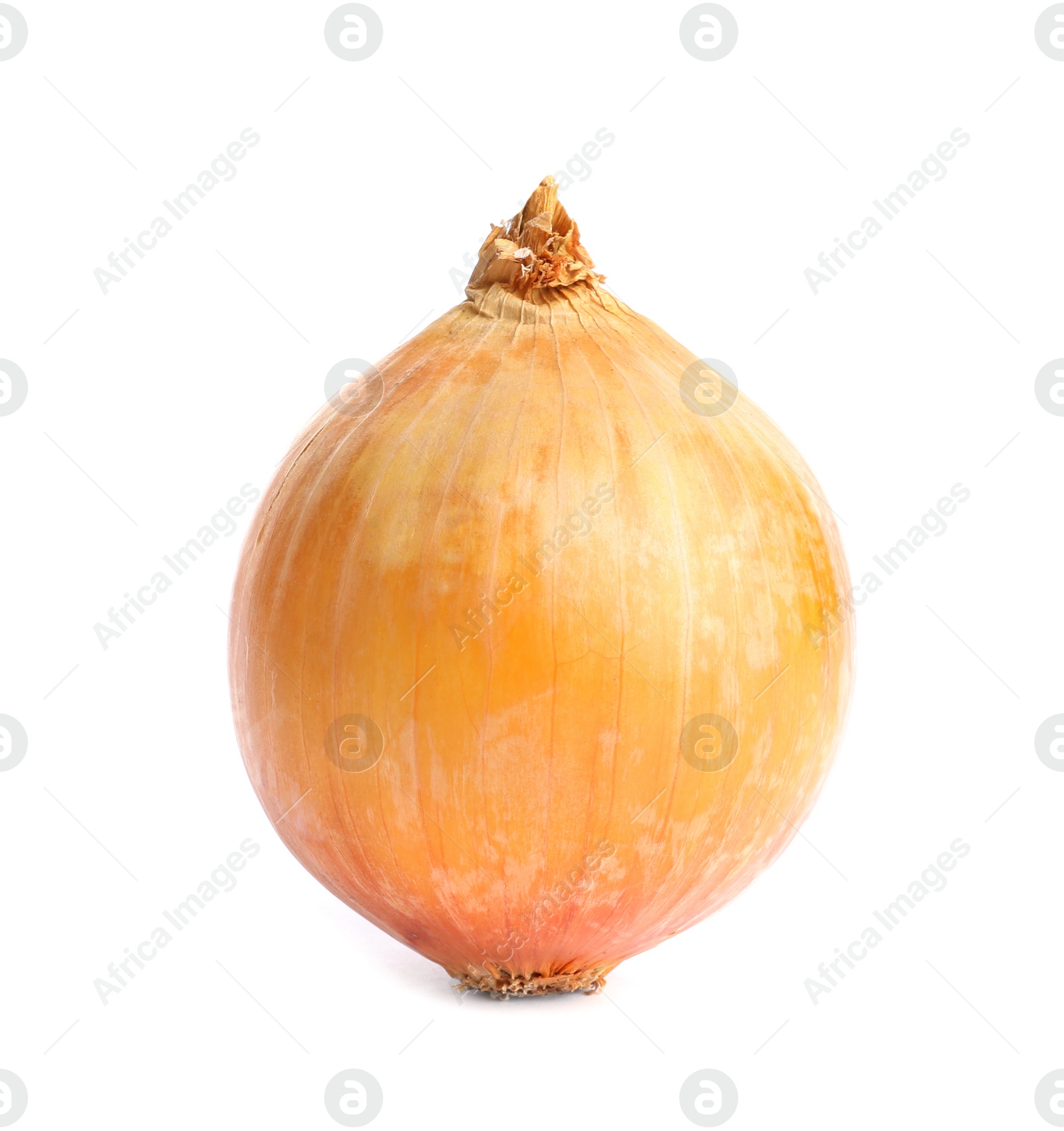 Photo of Fresh ripe onion bulb on white background