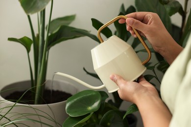 Woman watering beautiful potted houseplant, closeup view