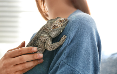 Photo of Young woman with bearded lizard at home, closeup. Exotic pet