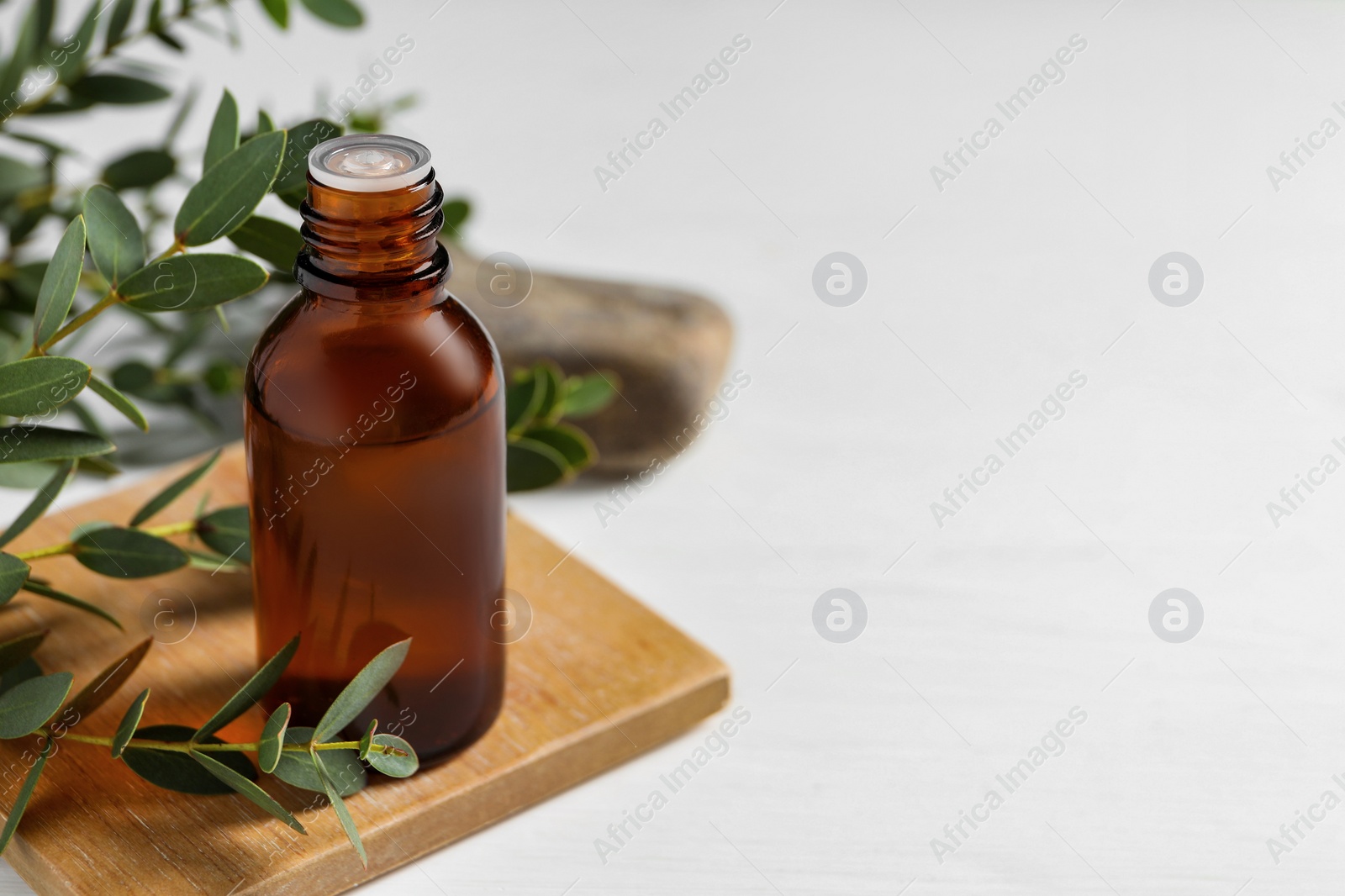 Photo of Bottle of eucalyptus essential oil and plant branches on white table, space for text