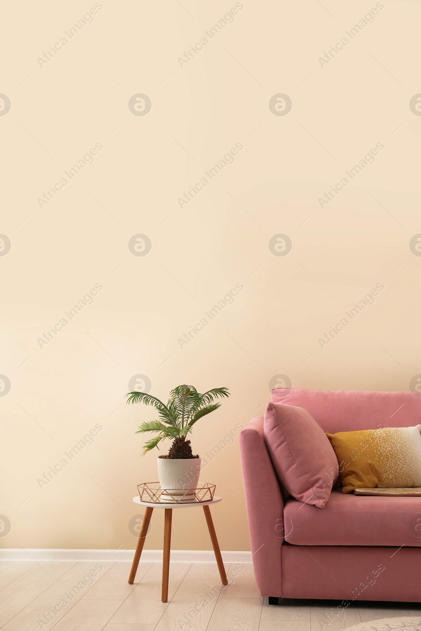 Photo of Simple living room interior with modern sofa near color wall. Space for text