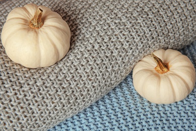 Photo of Small white pumpkins on soft knitted plaids, closeup