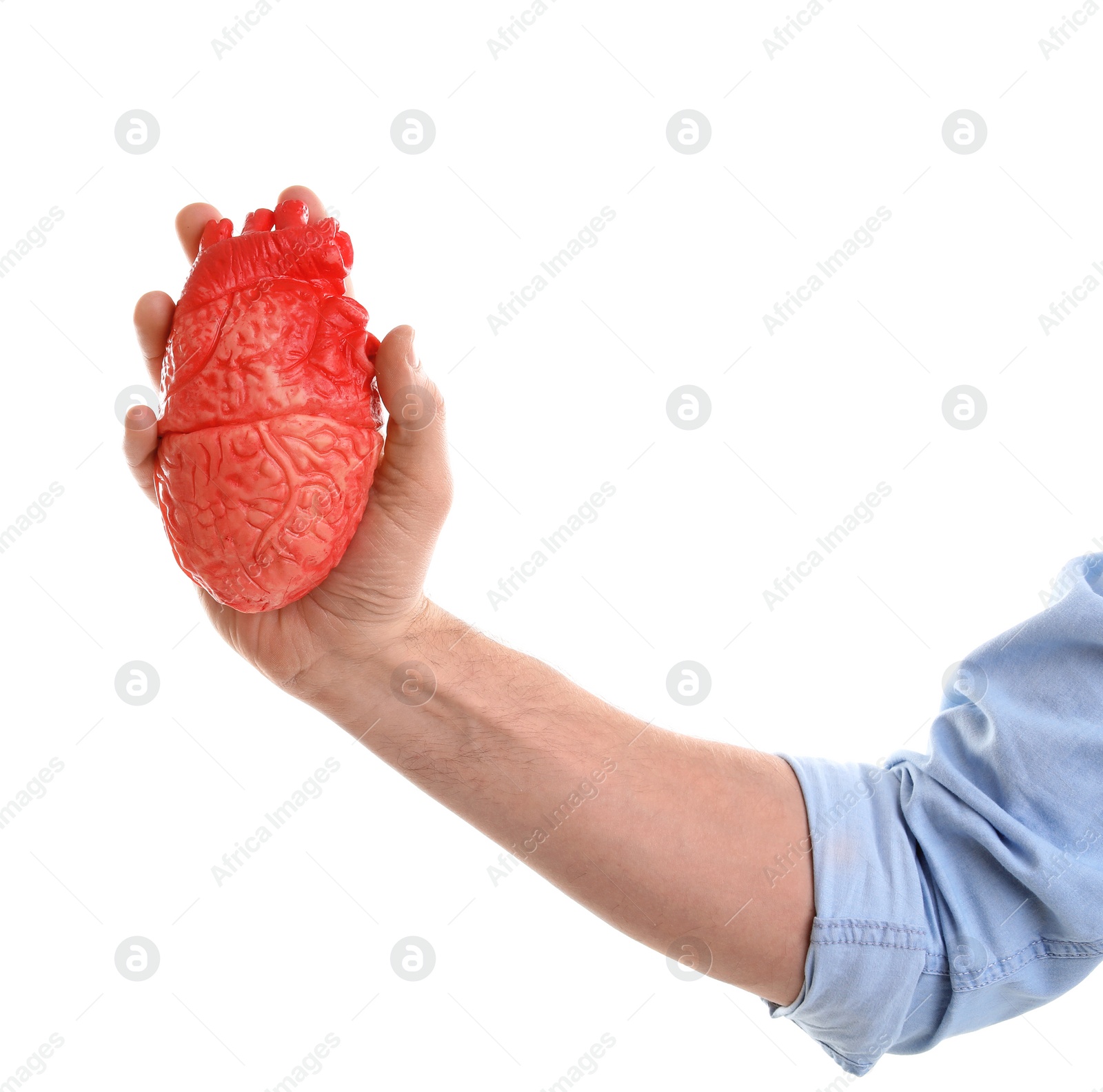 Photo of Man holding model of heart on white background. Heart attack concept