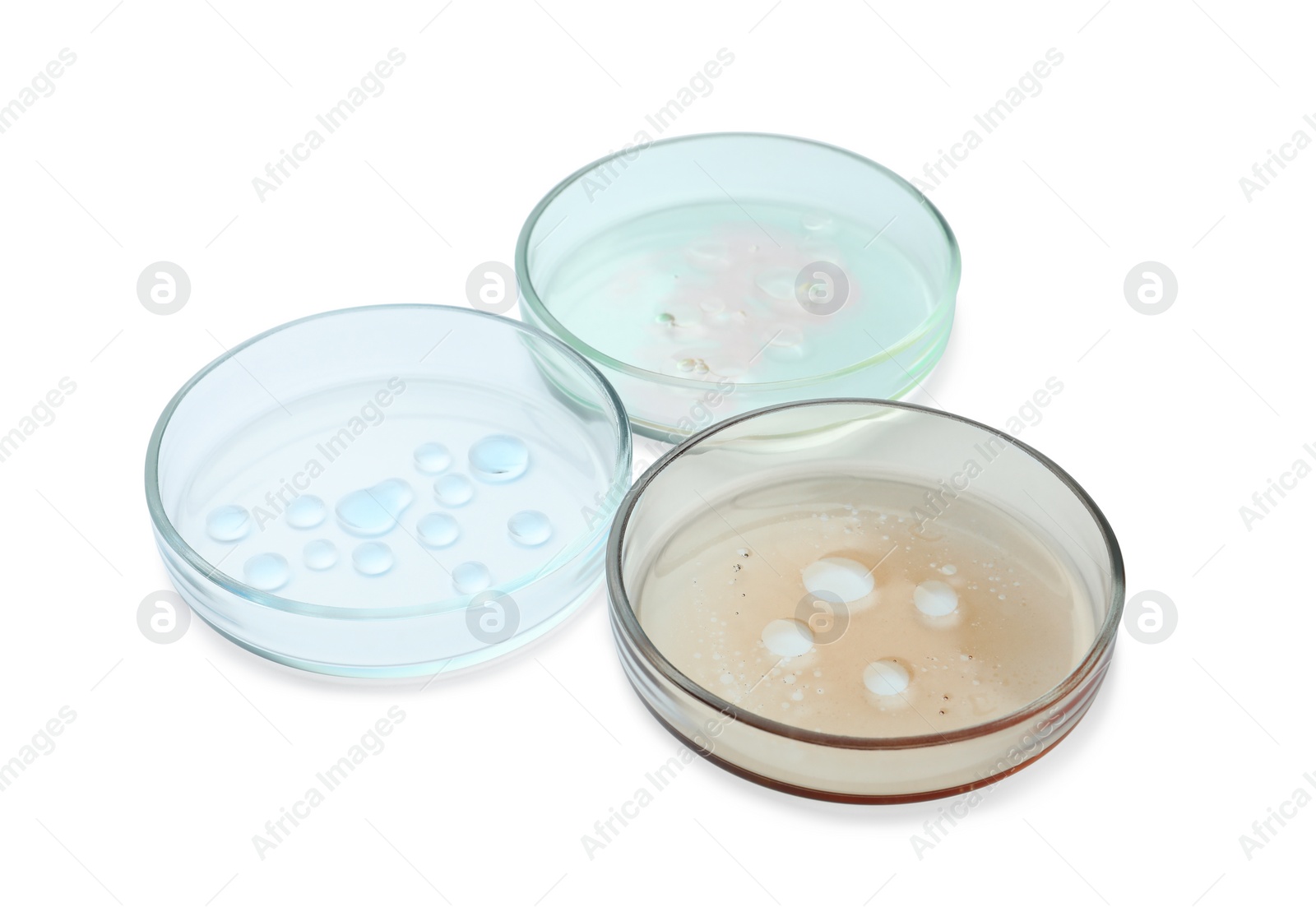 Photo of Petri dishes with color liquids on white background