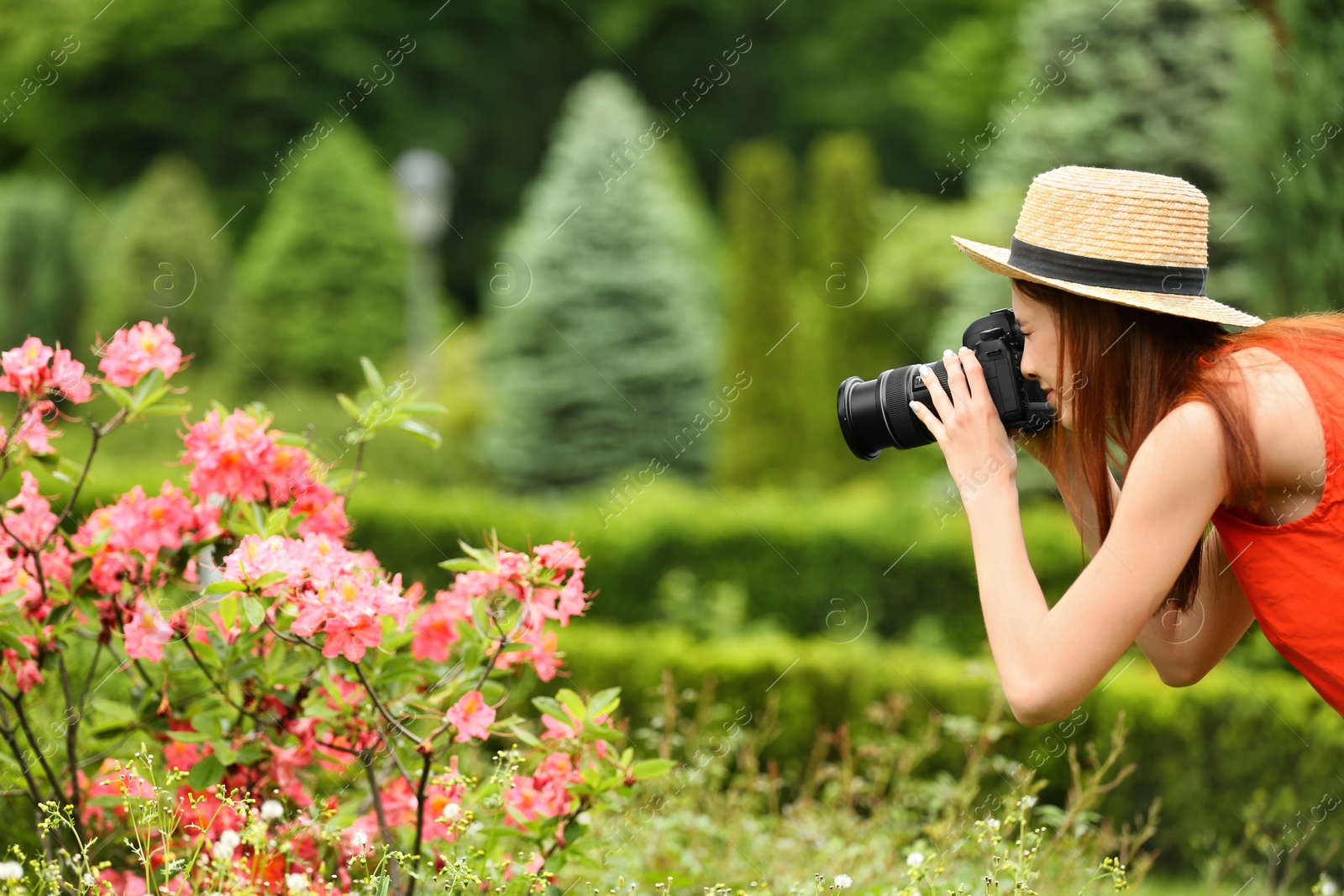 Photo of Photographer taking photo of blossoming bush with professional camera in park