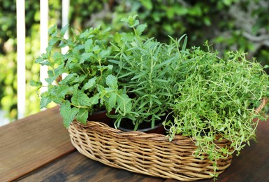 Photo of Wicker basket with fresh mint, thyme and rosemary on wooden table outdoors. Aromatic herbs